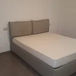 Rent 1 bedroom apartment of 55 m² in Milano MI