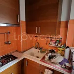 Rent 1 bedroom apartment of 30 m² in Milano