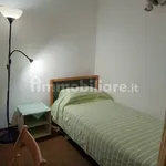 Rent 2 bedroom apartment of 60 m² in Turin