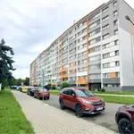 Rent 1 bedroom apartment of 28 m² in Hradec Králové