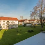 Rent 2 bedroom apartment of 50 m² in Essen