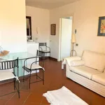 Rent 2 bedroom apartment of 45 m² in Roma