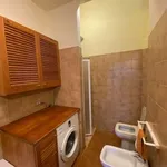 Rent 1 bedroom house of 40 m² in Florence