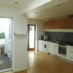 Terraced house to rent in Newtown Road, Hove BN3