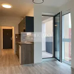 Pronajměte si 1 ložnic/e byt o rozloze 34 m² v Pilsen