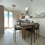 Rent 4 bedroom house of 100 m² in Forlì