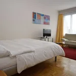 Miete 1 Schlafzimmer wohnung von 35 m² in Zürich