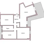 Rent 3 bedroom apartment of 117 m² in Roma