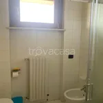 Rent 2 bedroom apartment of 50 m² in Lodi