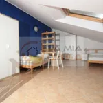 Rent 2 bedroom apartment of 80 m² in legnaro