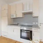 Rent 2 bedroom apartment of 51 m² in Linz