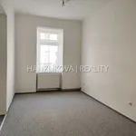 Rent 1 bedroom apartment of 40 m² in České Budějovice