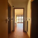 Rent 1 bedroom apartment of 40 m² in Mondovì