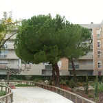 Rent 3 bedroom apartment of 75 m² in Avignon