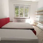 Rent 4 bedroom apartment of 100 m² in Milan