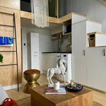 Rent 1 bedroom apartment in Auckland