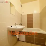 Rent 1 bedroom apartment of 28 m² in Ostrava