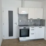 Rent 1 bedroom apartment in Pilsen