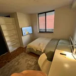 Rent 1 bedroom apartment in Old Toronto