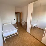 3-room flat Cesena via Della valle 15, San Mauro - San Rocco, Cesena