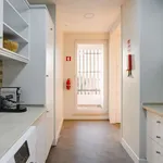 Rent 1 bedroom apartment in lisbon