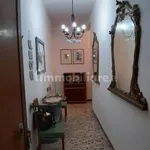 Rent 3 bedroom apartment of 80 m² in Bologna