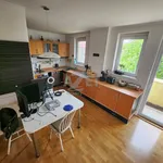 Rent 4 bedroom apartment in Ostrava