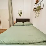 Rent 1 bedroom apartment of 28 m² in Magdeburg