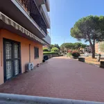 Affitto 4 camera appartamento di 65 m² in Follonica