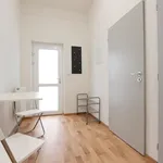 Rent 1 bedroom apartment in Brno