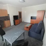 Rent 1 bedroom apartment in Karviná