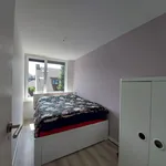 Rent 5 bedroom house of 120 m² in Krommeweg-Zuid