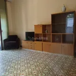 Rent 2 bedroom apartment of 65 m² in Catania