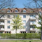 Rent 2 bedroom apartment of 66 m² in Hannover