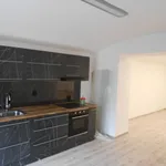 Rent 1 bedroom apartment in Louny