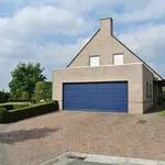 Huur 4 slaapkamer huis van 1200 m² in Wingene