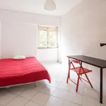 Rent 6 bedroom apartment in Lisbon