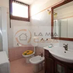 Rent 2 bedroom apartment of 80 m² in legnaro