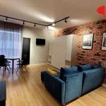 Rent 1 bedroom apartment of 31 m² in Poznan