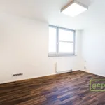 Rent 3 bedroom apartment of 100 m² in Prague