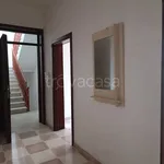 Rent 5 bedroom apartment of 110 m² in Cavallino