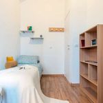 Rent a room in Torino