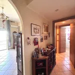 Rent 2 bedroom apartment of 60 m² in Roma