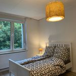 Miete 3 Schlafzimmer wohnung von 55 m² in Herten