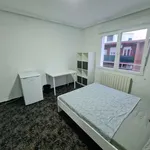 Rent a room in zaragoza