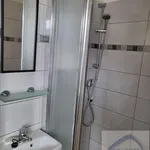 Rent 1 bedroom apartment of 23 m² in Brno