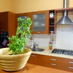 Rent 1 bedroom house of 20 m² in Szczecin