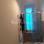 Rent 3 bedroom apartment of 75 m² in Turin