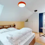 Rent a room of 247 m² in Nanterre