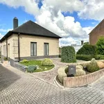 Huur 4 slaapkamer huis van 785 m² in Affligem